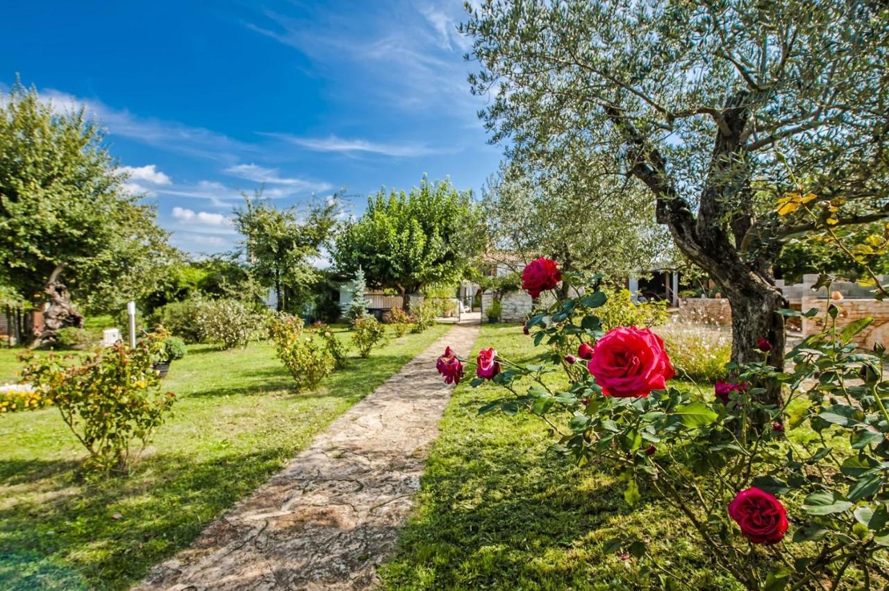 Holiday Apartment Daria 20 Rovinj Zewnętrze zdjęcie