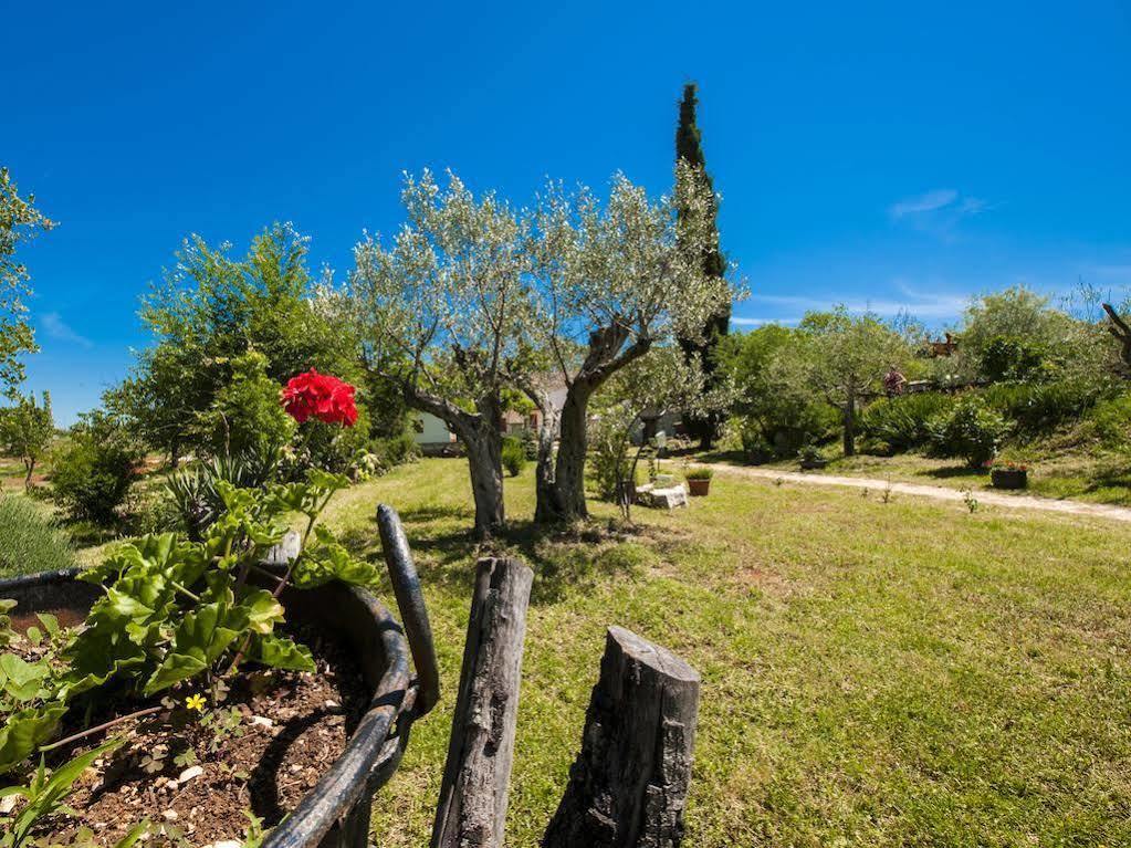 Holiday Apartment Daria 20 Rovinj Zewnętrze zdjęcie